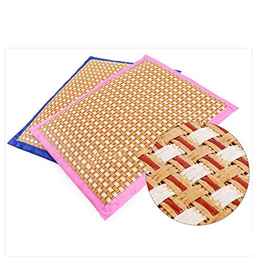 Zhao Li Pet Supplies - Alfombrilla para Mascotas de Doble Cara para Gatos y Perros, Color Rosa y Azul, Rosa, Large