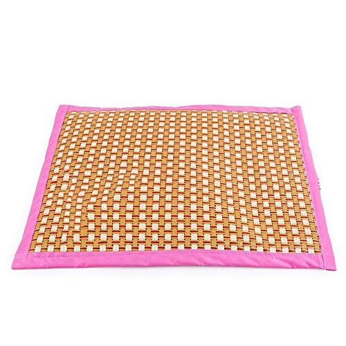 Zhao Li Pet Supplies - Alfombrilla para Mascotas de Doble Cara para Gatos y Perros, Color Rosa y Azul, Rosa, Large