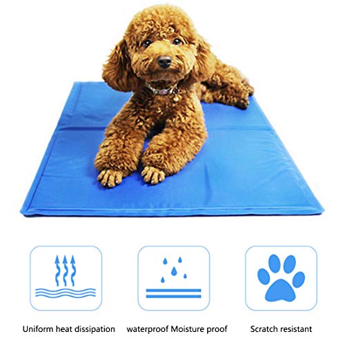 ZLBPET Alfombrilla Refrescante para Mascotas Almohadilla de Enfriamiento de Gel Activo No Tóxico Colchón de Verano para Perros y Gatos Cojin para Sofa Cómodo y Fresco,Blue,S50*40cm