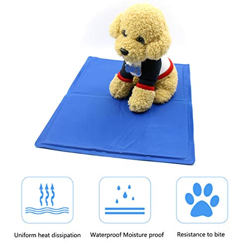 ZLBPET Alfombrilla Refrescante para Mascotas Almohadilla de Verano para Mascotas Colchón para Mascotas Cojin para Sofa Relleno de Gel Cómodo y Fresco No Tóxico,Blue,XS40*30cm