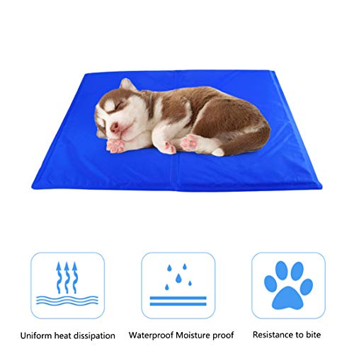 ZLBPET Alfombrilla Refrescante para Mascotas Estera de Enfriamiento para Perros y Gatos Gel Activo Colchón de Verano Cojin para Sofa Cómodo y Fresco No Tóxico,Blue,M65*50cm