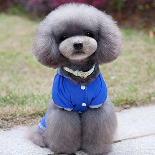 Zunea pequeño Perro Impermeable con Capucha de Malla Impermeable Forrado Cachorro Slicker Ropa de Lluvia Perrito Mascota Traje de Lluvia/Traje de Chaqueta Ropa Azul S