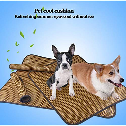 ZWCC Estera para Mascotas de Invierno y Verano para Uso Doble Estera para Perros Estera para Gatos Antiadherente Estera de Aire Acondicionado para Cabello (100 * 70 cm)