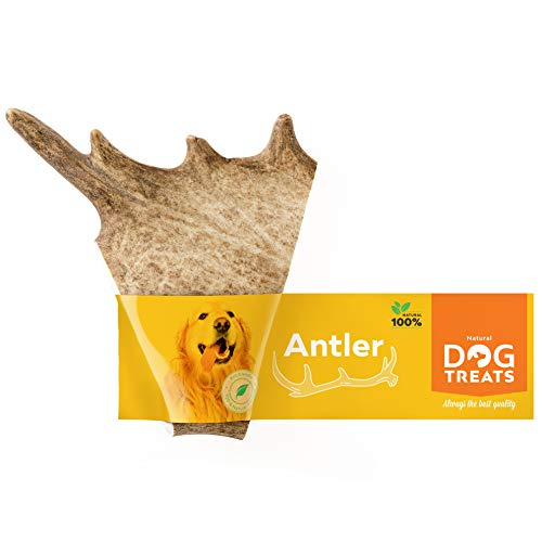 100% Natural Mordedor Asta de Gamo para Perros Cuerno Masticar Juguete, Tamaño X-Large