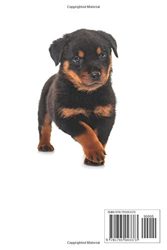 2019 Rottweiler Daily Planner