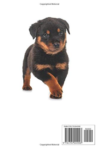 2020 Rottweiler Daily Planner