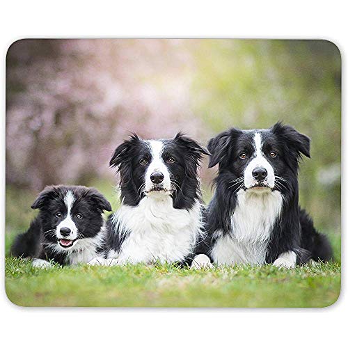 Alfombrilla de ratón Border Collie Family - Perro Perros Puppy Farm Fun Gift Computer