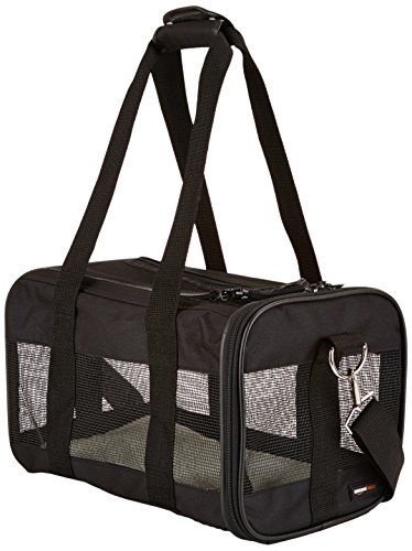 AmazonBasics - Trasportín negro con laterales flexibles - Pequeño