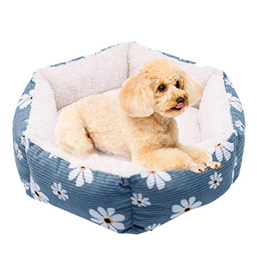 Amiiaz Cama Perro Cama calmante Cojín Hexágono Lavable Cama para Mascotas Cojín de Cachorros sofá para Cachorros Cama de Perros Gatos Alivio ortopédico Mejorado-S Verde