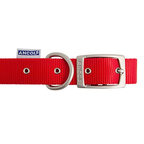 Ancol Patrimonio Nylon Collar de Perro, Mediano, Rojo