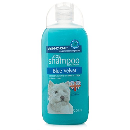 ANCOL Perro Champú 200 ml de Terciopelo Azul