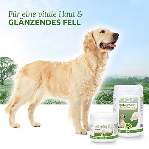 AniForte Polvo de levadura de Cerveza Pura para Perros 500g - Pelo Brillante y Fuerte, Piel Sana, Rica en vitaminas B, minerales, oligoelementos, Producto Natural