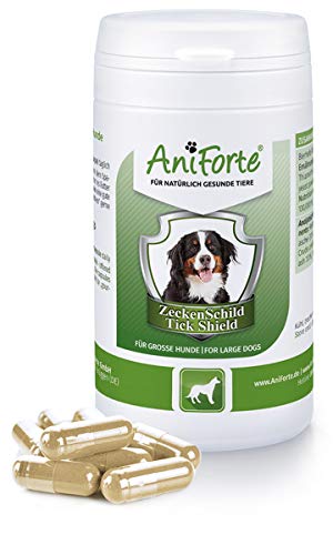 AniForte Thick Shield para Perros (35 a 50 kg) 60 cápsulas. Producto 100% natural. Complejo de Vitamina B que Actúa como Escudo Anti-Garrapatas y Parásitos.