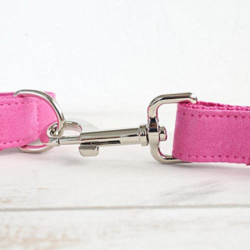 AOMEO Arnés con Correa para Collar De Perro Mascota - Rosa Geeignet für Kleine, mittlere Oder große Hunde Benutzerdefinierte Größe