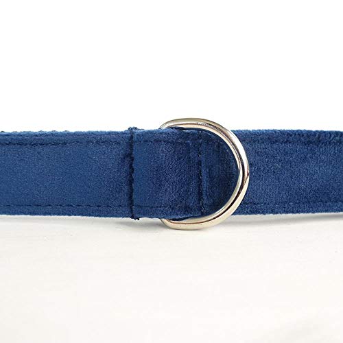 AOMEO Arnés para Correa De Collar para Perro - Azul Geeignet für Kleine, mittlere Oder große Hunde Benutzerdefinierte Größe