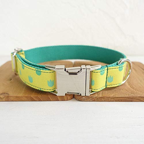 AOMEO Collar para Perro con Correa para Perros Y Accesorios para Gatos Y Perros Geeignet für Kleine, mittlere Oder große Hunde Benutzerdefinierte Größe