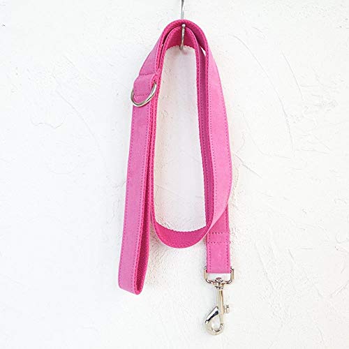 AOMEO Conjunto De Lazo con Correa para Collar De Perro Mascota - Ante Rosa Geeignet für Kleine, mittlere Oder große Hunde Benutzerdefinierte Größe