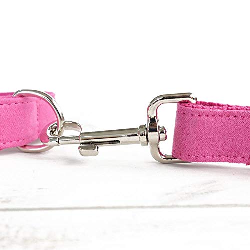 AOMEO Conjunto De Lazo con Correa para Collar De Perro Mascota - Ante Rosa Geeignet für Kleine, mittlere Oder große Hunde Benutzerdefinierte Größe