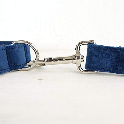 AOMEO Conjunto De Lazo De Correa para Collar De Perro Mascota - Azul Geeignet für Kleine, mittlere Oder große Hunde Benutzerdefinierte Größe