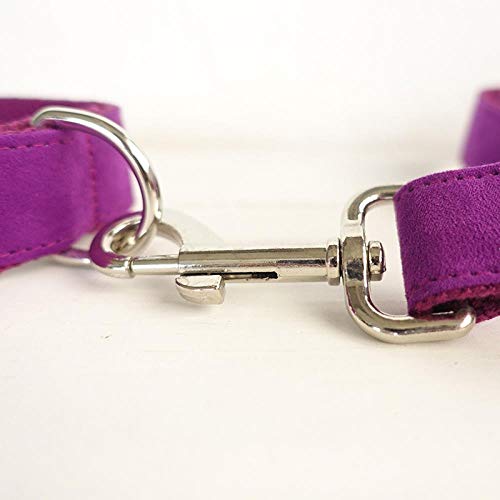 AOMEO Conjunto De Lazo De Correa para Collar De Perro Mascota - Púrpura Geeignet für Kleine, mittlere Oder große Hunde Benutzerdefinierte Größe