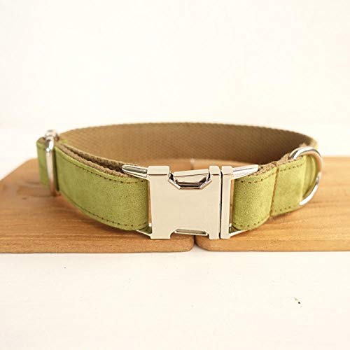 AOMEO Conjunto De Lazo De Correa para Collar De Perro Mascota - Turquesa Geeignet für Kleine, mittlere Oder große Hunde Benutzerdefinierte Größe