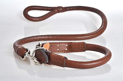 AOMEO Correa para Collar De Perro Mascota Set PU Cuero Marrón Geeignet für Kleine, mittlere Oder große Hunde Benutzerdefinierte Größe