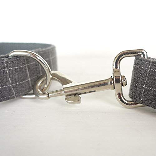 AOMEO Juego De Correa para Collar De Perro Mascota - Gris Geeignet für Kleine, mittlere Oder große Hunde Benutzerdefinierte Größe