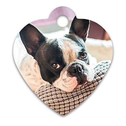 APRIL Chapas identificativas para Perros con la Imagen o Texto Que Quieras (Chapa corazón Personalizada)