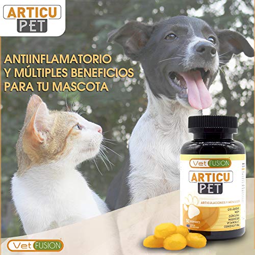 ArticuPet | Antiinflamatorio para perros y gatos | Recupera su energía y movilidad | Combate el dolor y la inflamación | Con colágeno + cúrcuma + condroitina + magnesio | 50 unidades sin azúcar