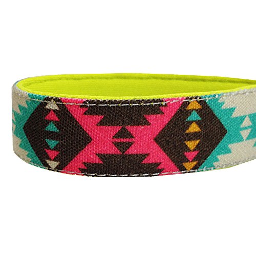 Blueberry Pet Soft & Comfy Vintage Tribal Pattern Adjustable Neoprene Padded Dog Collar in Extravagant Green, Large