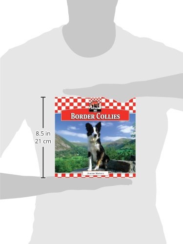 Border Collies (Dogs)