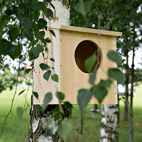 Caja para pájaros de Nido a Nido | Casa de pájaros | Caja de nido para pájaros de madera de roble | Casa para pájaros para jardín | nido de pájaros, calidad premium