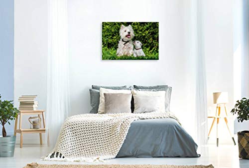 Calvendo Premium Lienzo 90 cm x 60 cm Horizontal, un Motivo del Calendario Kobold en 4 Patas, West Highland White Terrier Imagen sobre Lienzo, impresión en Lienzo Animales