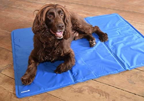 Cama refrescante para perros beeztess 90x50cm