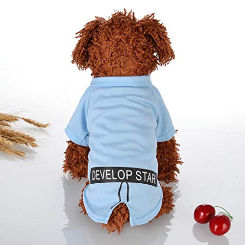 Camiseta para Perro y Gato de Algodón, Estampado Letras, Ropa Perro Pequeño, Primavera y Verano, Ligera de Chaleco Camisetas Perros Ropa Disfraz para Perrito Yorkshire Chihuahua