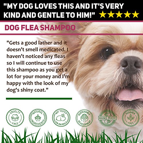 Champú antipulgas para perros – Piel sensible picazón de perro y cachorro Grooming – Tratamiento medicado contra pulgas 500 ml