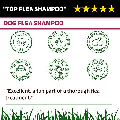 Champú antipulgas para perros – Piel sensible picazón de perro y cachorro Grooming – Tratamiento medicado contra pulgas 500 ml