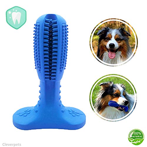 Cleverpets Cepillo de Dientes para Perros para el Cuidado Dental de Caucho Natural – eliminador de Dientes para Perros