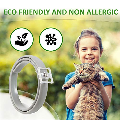 Collar antipulgas y garrapatas para Gatos, resistente al aqua, protección activa de hasta 8 Meses, 33 centimetros, para qualquier tamaño de gato