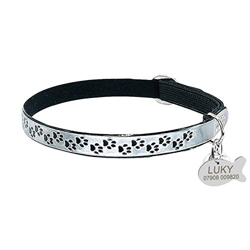 Collar De Gato Personalizado Fluorescencia Gatito Gatos Bell Collares Gratis Engarving Brillante con Grabado ID Etiqueta Collar De La Pata S Plata