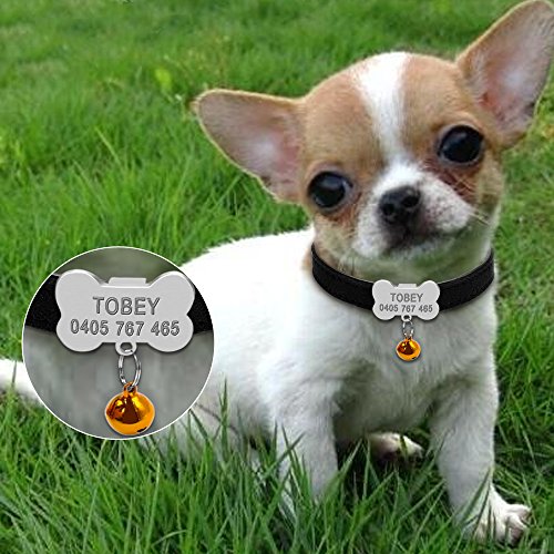 Collares De Perro Personalizados Custom Chihuahua Cachorro Gato Collar Hueso ID Etiquetas Grabadas para Perros Pequeños Y Medianos Gratis Bell XS S XXS Rosa