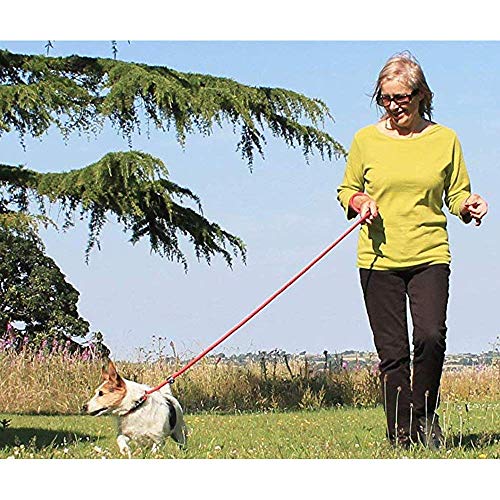 Correa de Perro Resistente y Ajustable, 3 Piezas, Nylon Ajustable de Plomo para Mascotas para Perros pequeños y medianos, Entrenamiento/Ejercicio Plomo de Perro