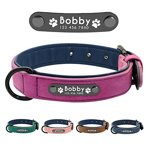 Didog - Collar de piel suave acolchada personalizable para perro, chapa de nombre, anilla en D, collar grabado para perro, tamaños pequeño, mediano y grande