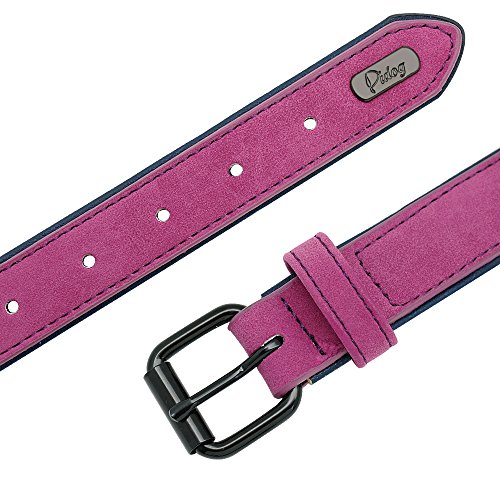 Didog - Collar de piel suave acolchada personalizable para perro, chapa de nombre, anilla en D, collar grabado para perro, tamaños pequeño, mediano y grande