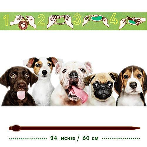 Disane Collar Antipulgas para Perros 100% Natural | 3 Meses de Protección Contra Insectos y Parásitos: Repelente de Pulgas, Garrapatas y Mosquitos-Leishmania | Collar Antiparasitario Perro y Cachorro