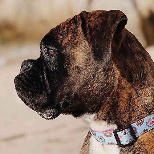 Dukier - Collar para Perro Ajustable y cómodo con Estampados Originales