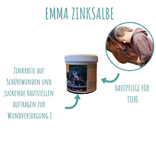 EMMA Ungüento de Zinc para Caballos y Perros Ungüento para la cicatrización de heridas I Cuidado de la Piel I Pasta de Zinc para la irritación de la Piel, picazón, Eczema 250 ml