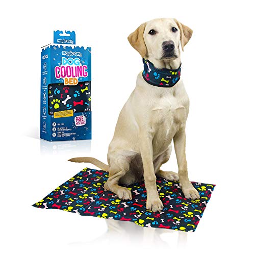 Esterilla refrescante para perro (40 x 60 cm + cuello medio refrescante)