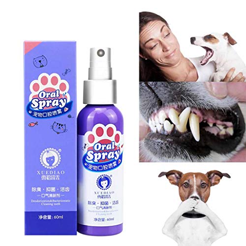 FBGood - Spray Dental higiénico Dental para Perros y Gatos, refrescante Aliento para Animales, Cuidado para la higiene Dental con probióticos, orgánico, Vegano, Natural, 85G