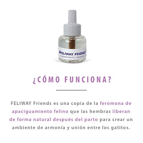 FELIWAY Friends - Anticonflictos para gatos - Peleas, Persecuciones, Bufidos, Bloqueos - Pack ahorro 3 recambios 48 ml